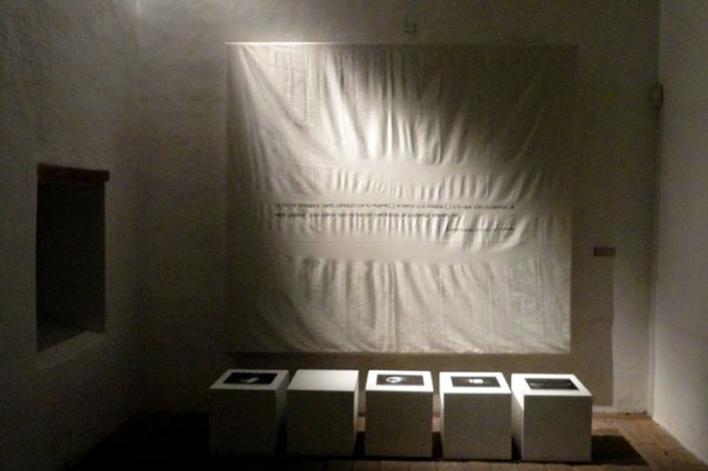 Instalación de Marcela Bosch, vista parcial.